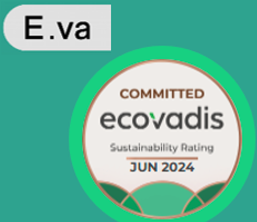 E.VA Consulting de nouveau récompensée ECOVADIS pour sa démarche RSE en juin 2024
